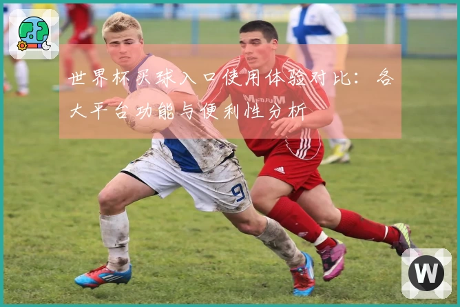 世界杯买球入口使用体验对比：各大平台功能与便利性分析