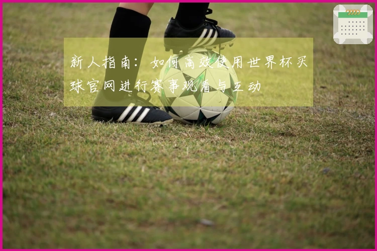新人指南：如何高效使用世界杯买球官网进行赛事观看与互动