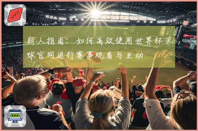 新人指南：如何高效使用世界杯买球官网进行赛事观看与互动